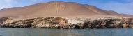 Inscription sur les dunes, réserve de Paracas, Pérou
