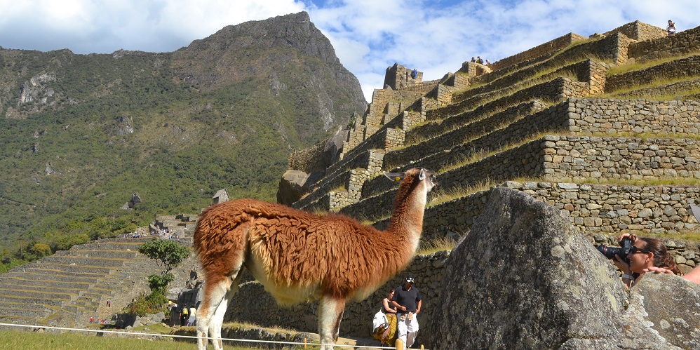 Voyage Pérou été Andes