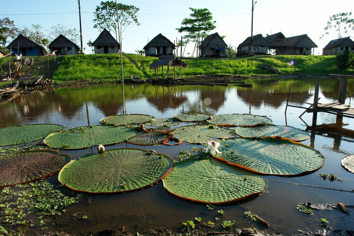 iquitos-perou