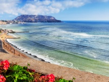 Flowers by the ocean. Lima.