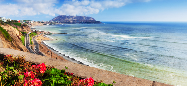 Flowers by the ocean. Lima.