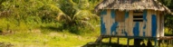 cabane-amazonie-perou