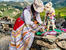 colca-peruvienne-baby-alapaga-perou