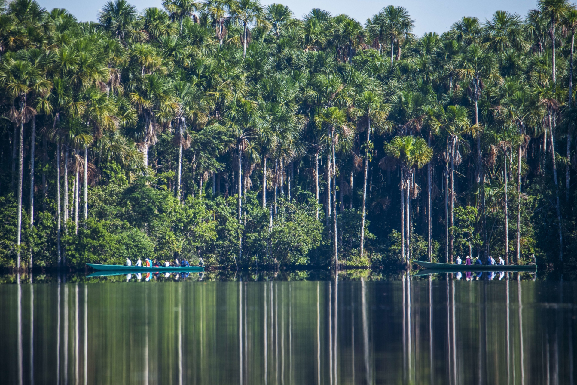 Lac Sandoval, Puerto Maldanado, Amazonie, Pérou
