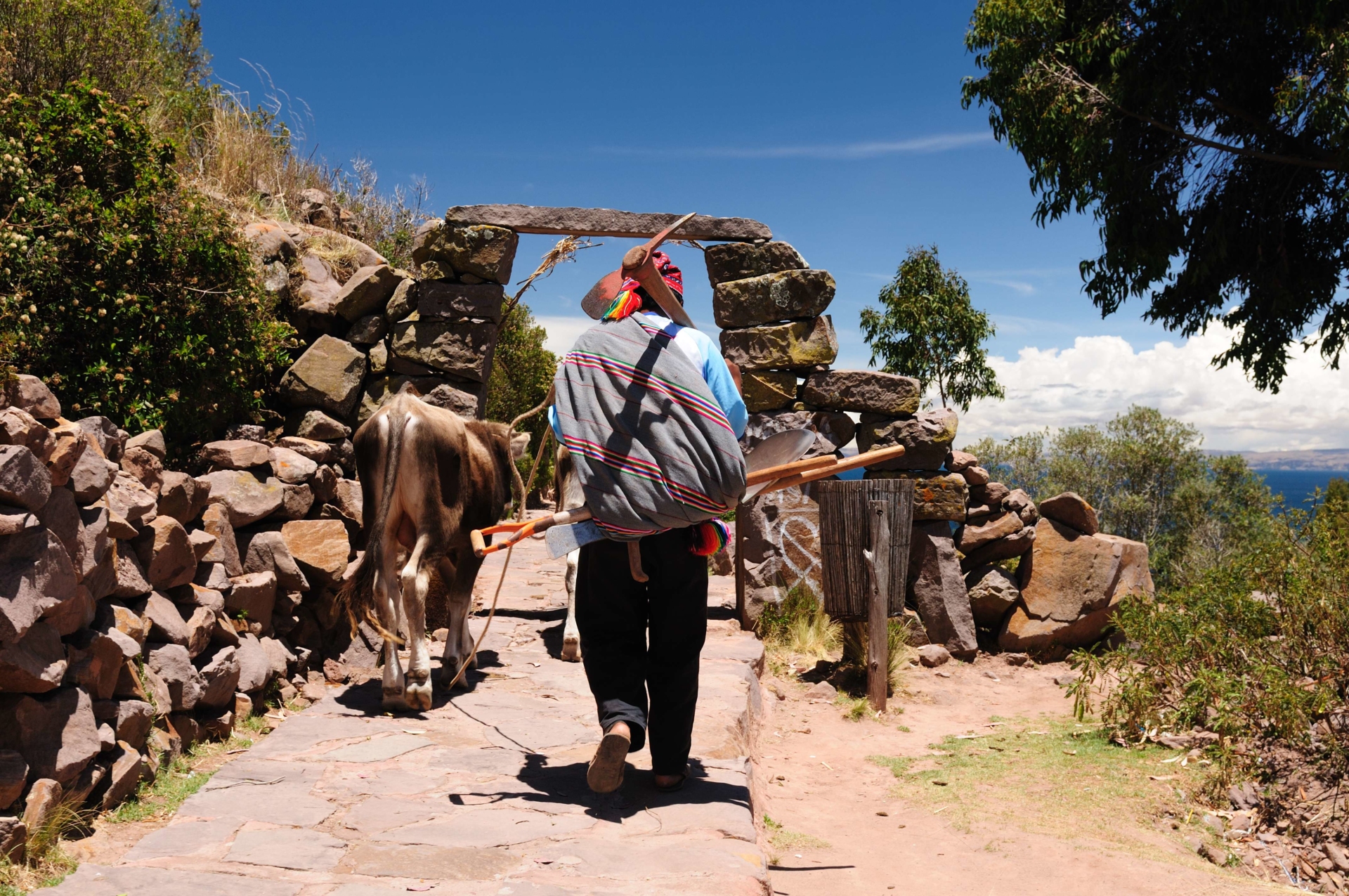 homme-marchant-quechua-lac-titicaca