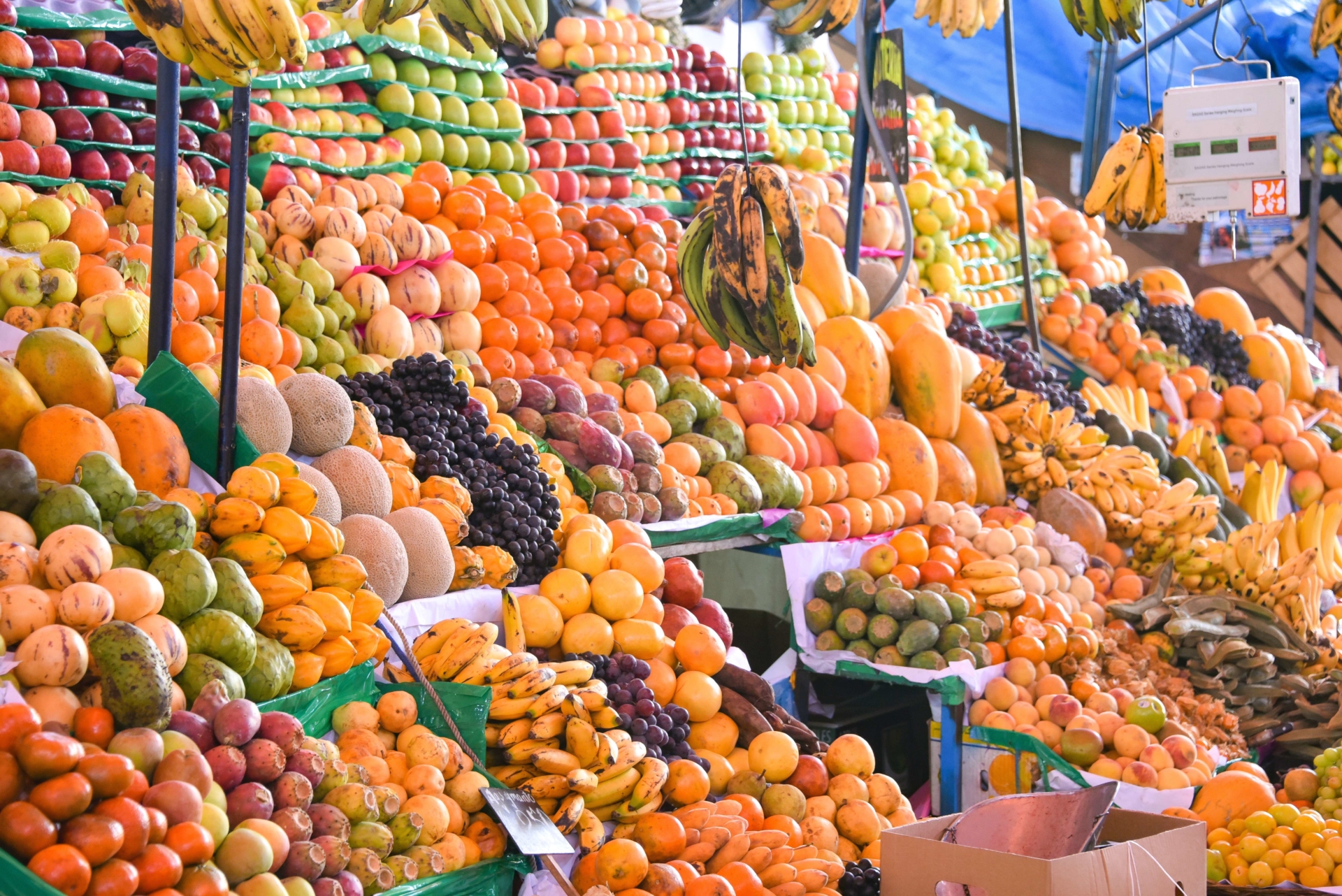 marche-fruits-arequipa-perou
