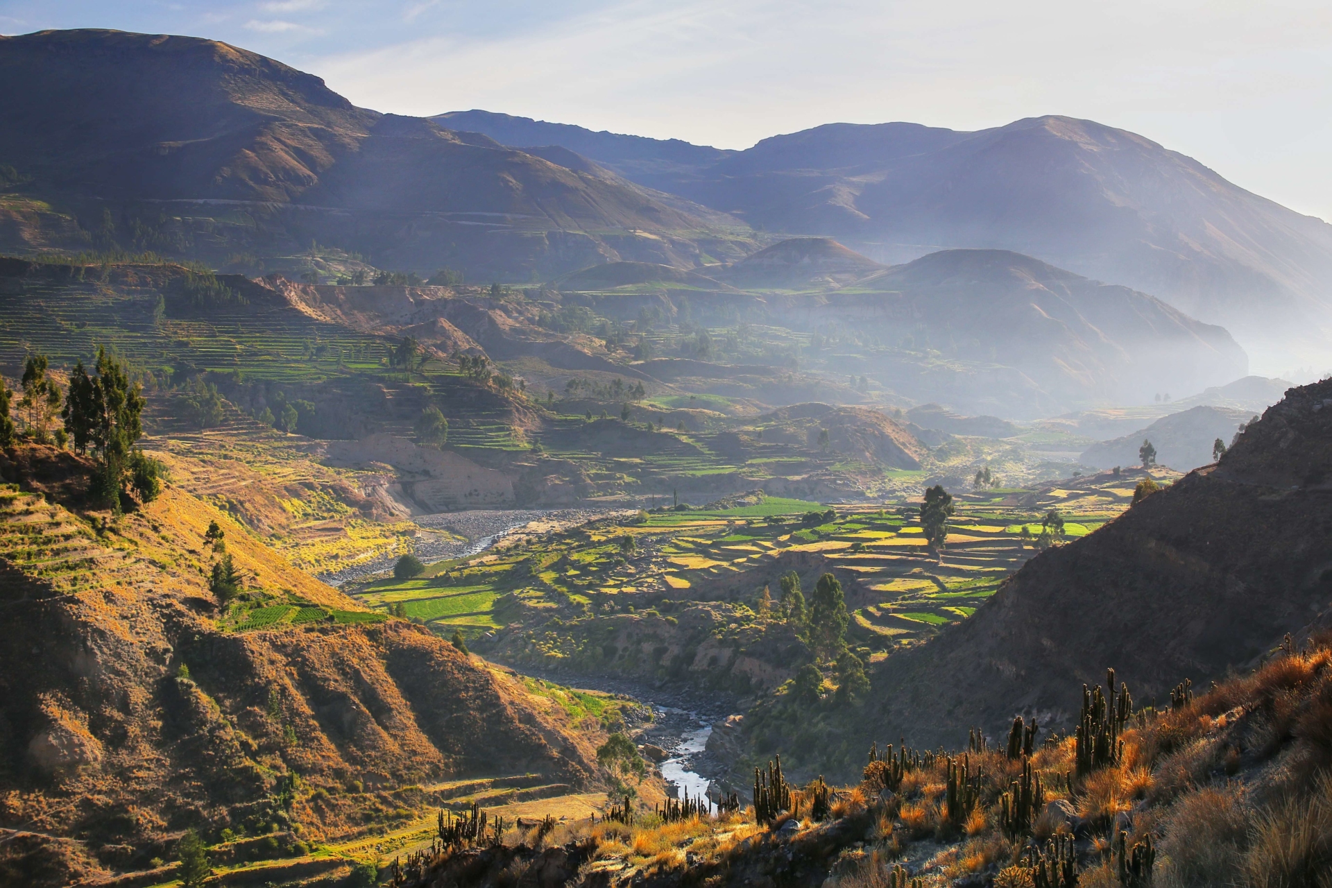 panorama-canyon-colca