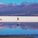 paysage-andes-bolivie