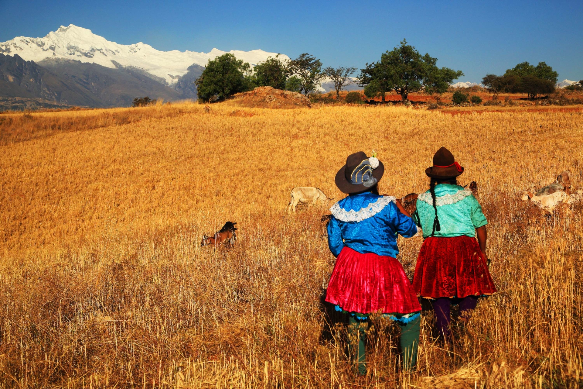 Péruvienne dans la Pampa, Andes, Pérou