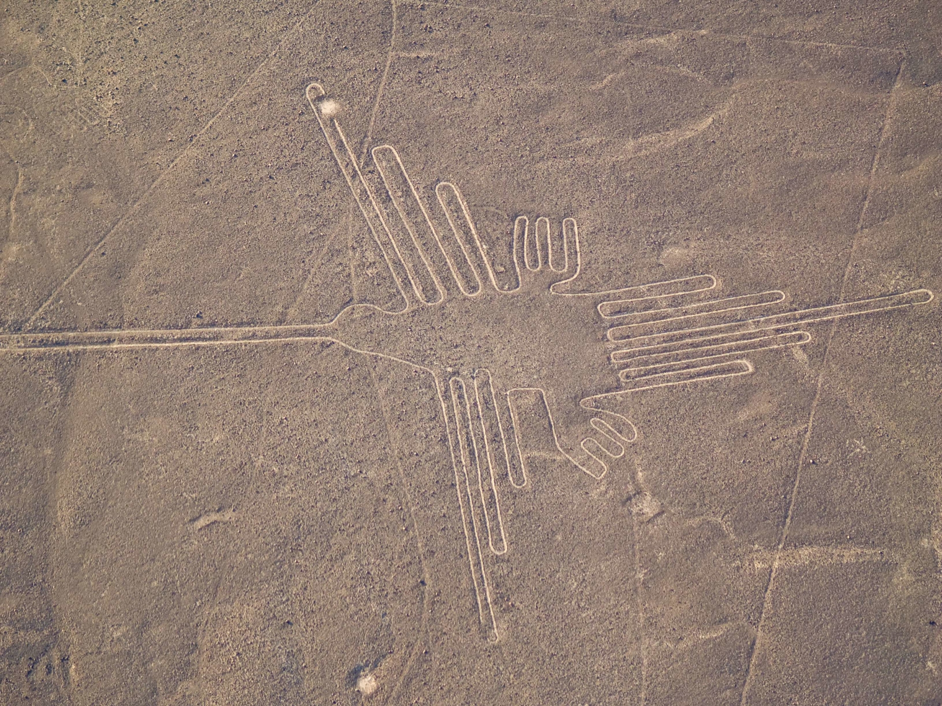 Lignes de Nazca, Pérou