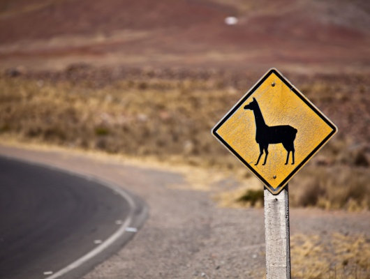 route-panneau-lamas-perou