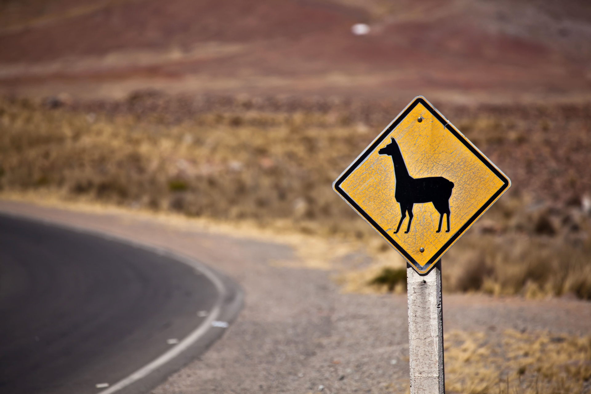 route-panneau-lamas-perou