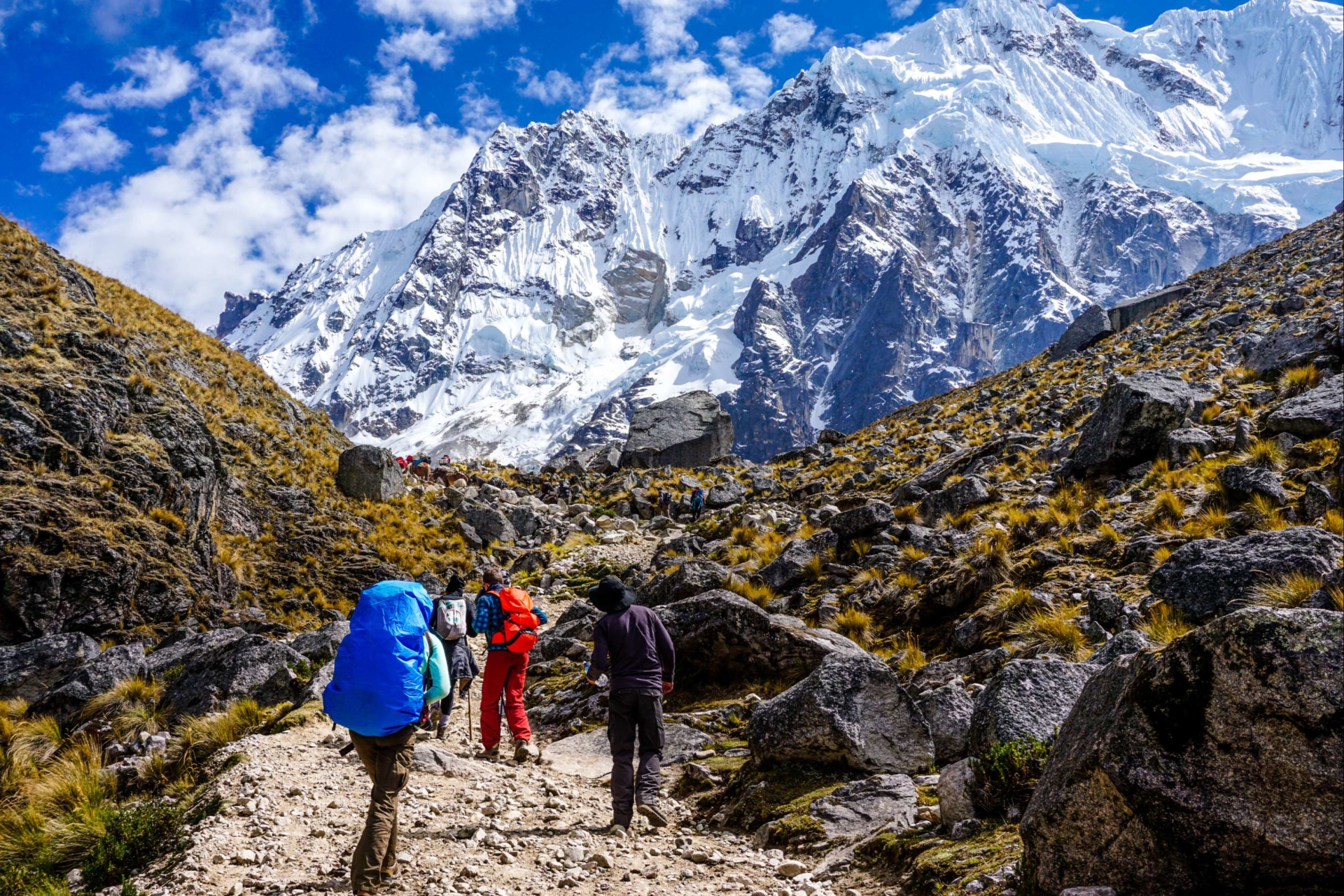 treks-andes-perou-Salkantay