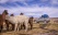 voiture-4x4-lama-andes-perou