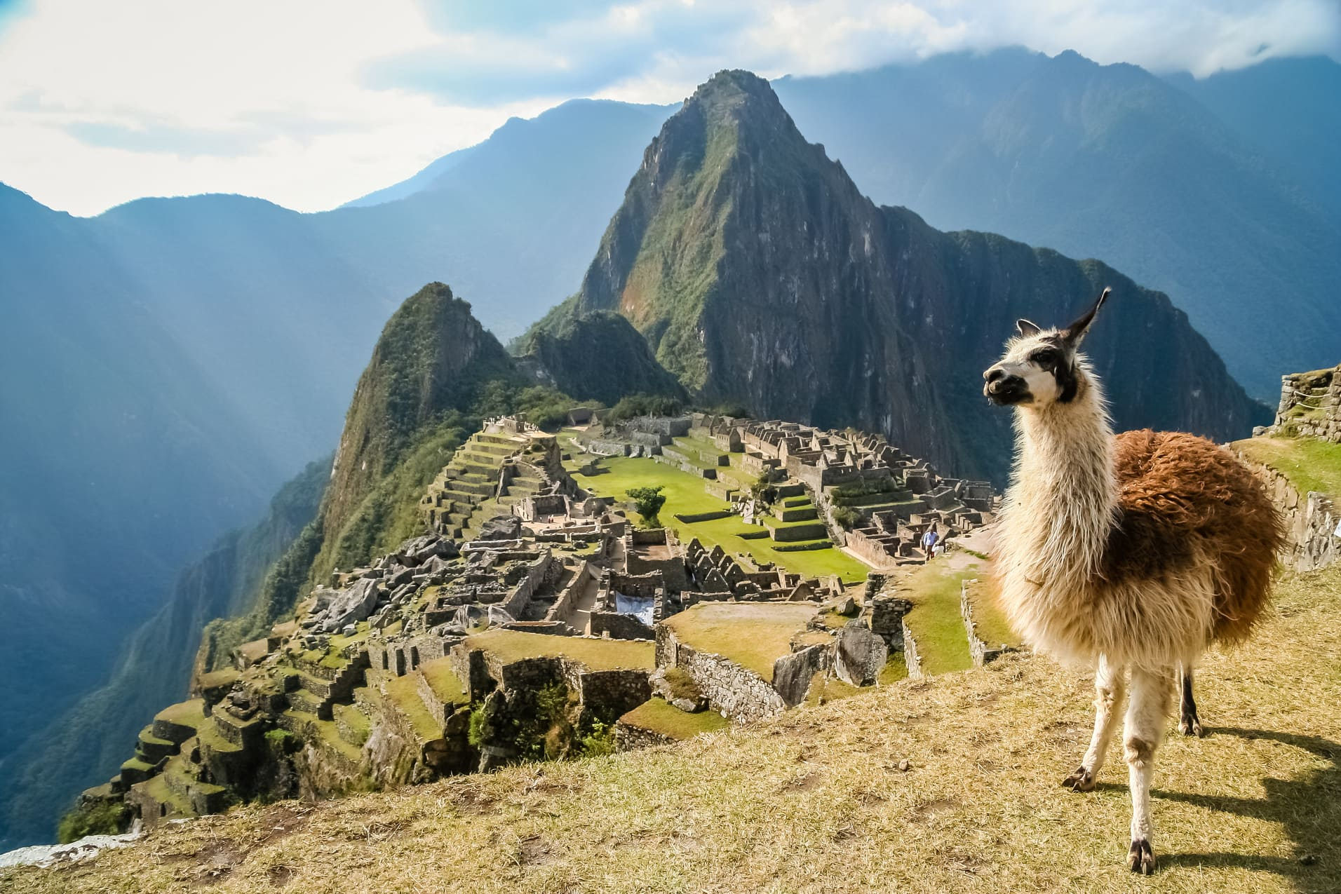 machu-picchu-lama-perou